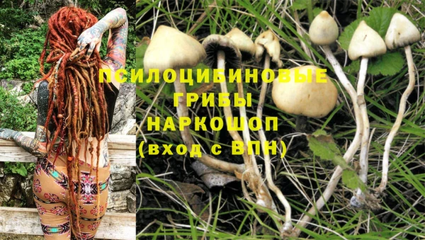 скорость Алексеевка
