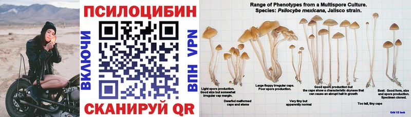 Псилоцибиновые грибы мухоморы  как найти наркотики  Сосновка 